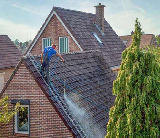 roof cleaning near me