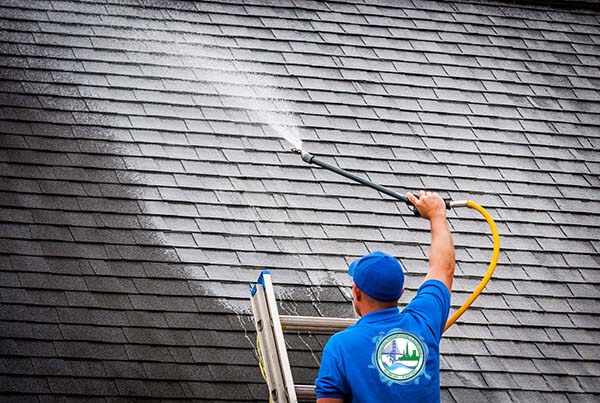 Roof Cleaning