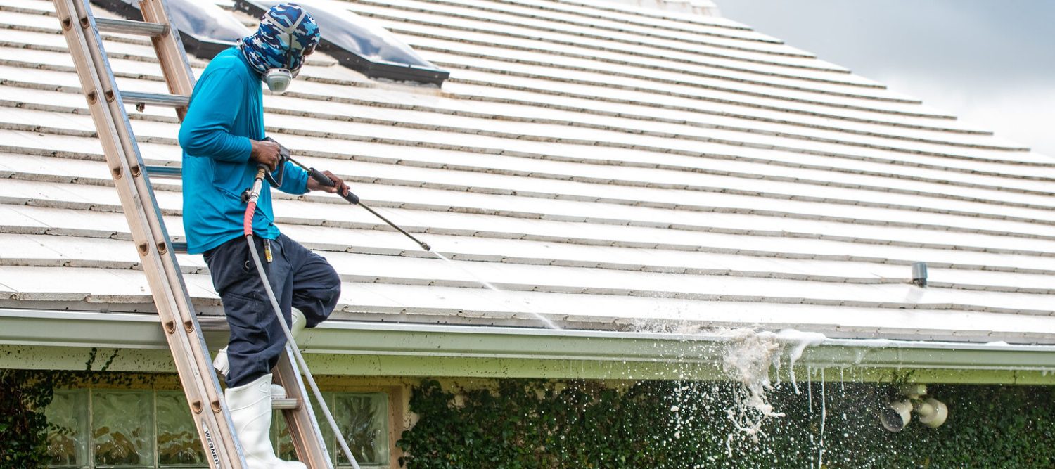 gutter cleaning 5