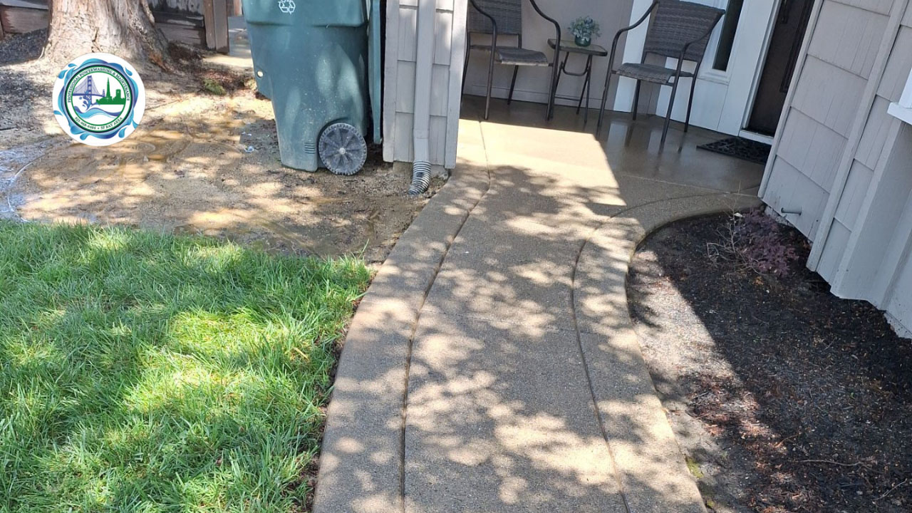Paver Patio Cleaning 3