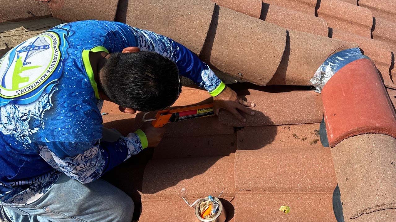 Our Roof Soft Washing Service 1