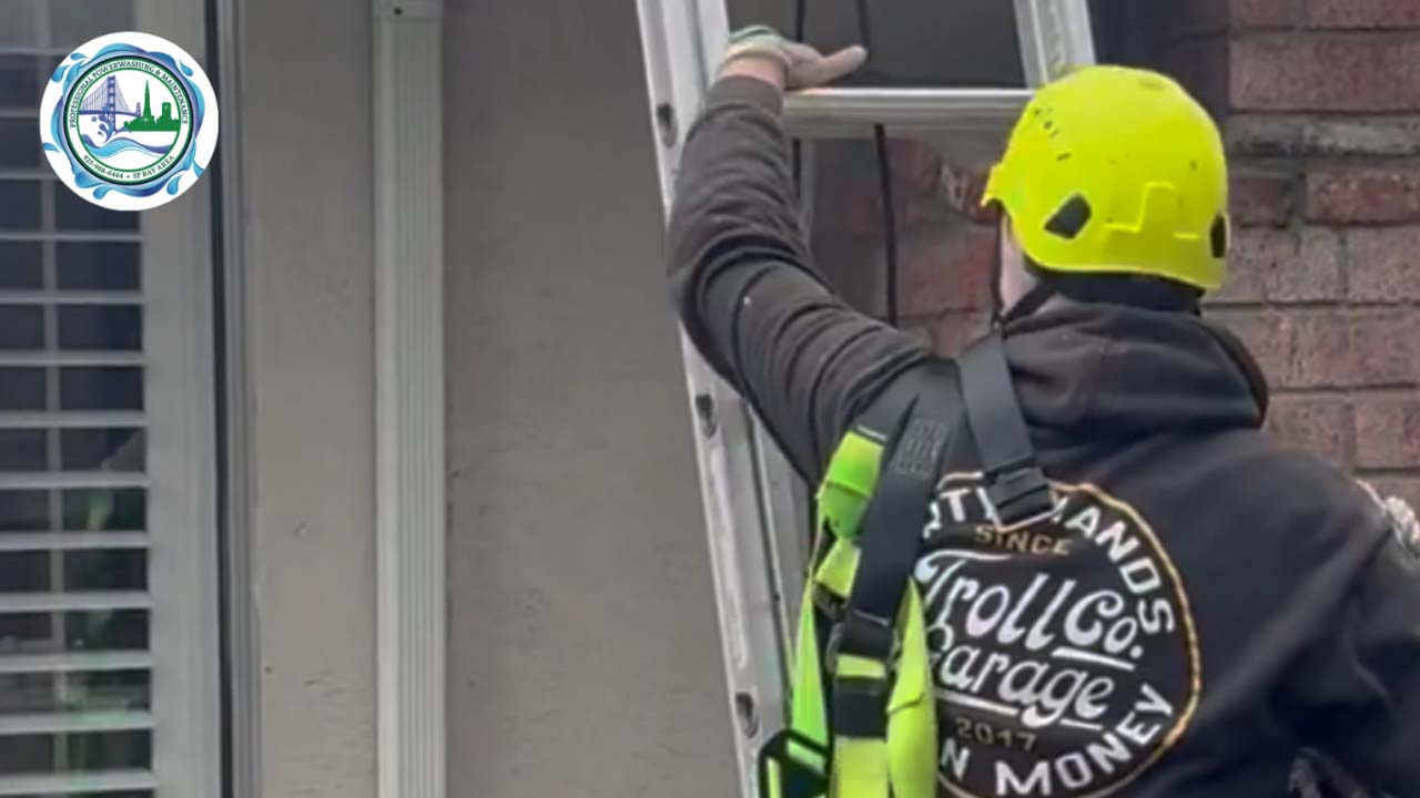 Our Roof Soft Washing Service 3