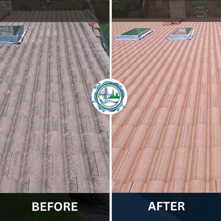 concrete tile lichen removal.jpg