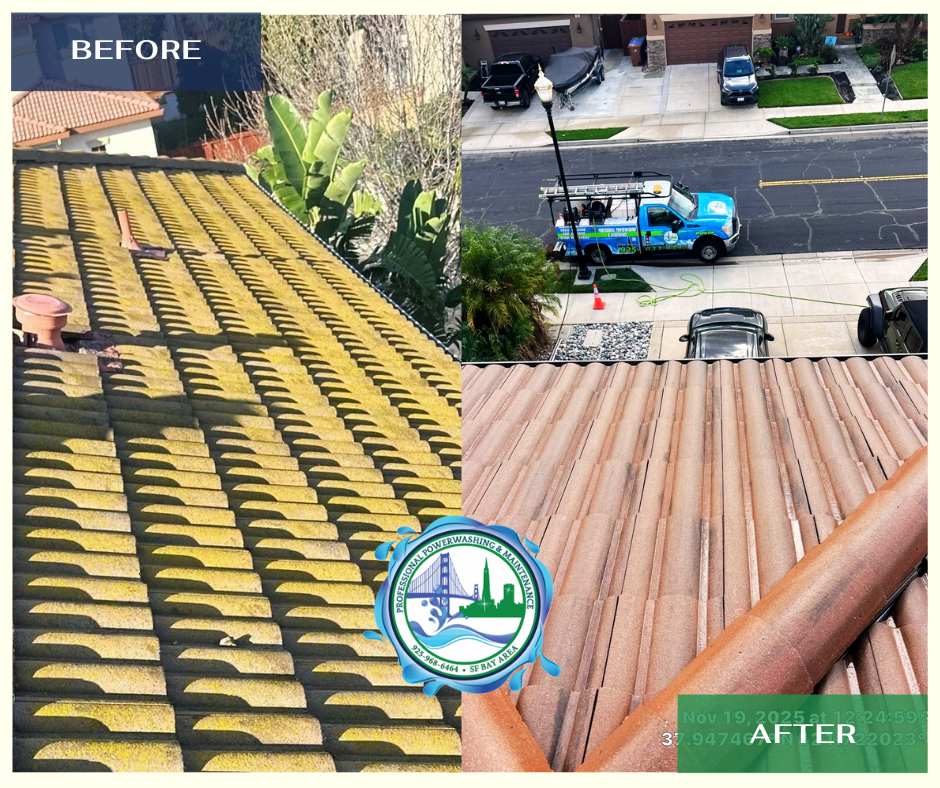 Roof cleaning San Ramon CA