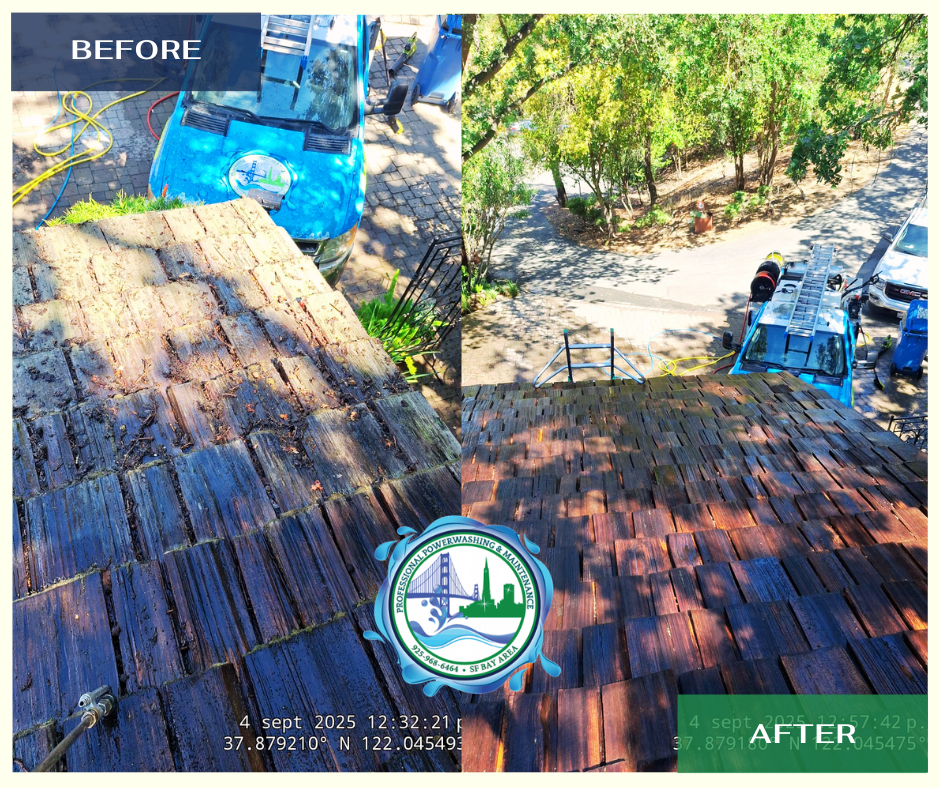 Clean roof San Ramon