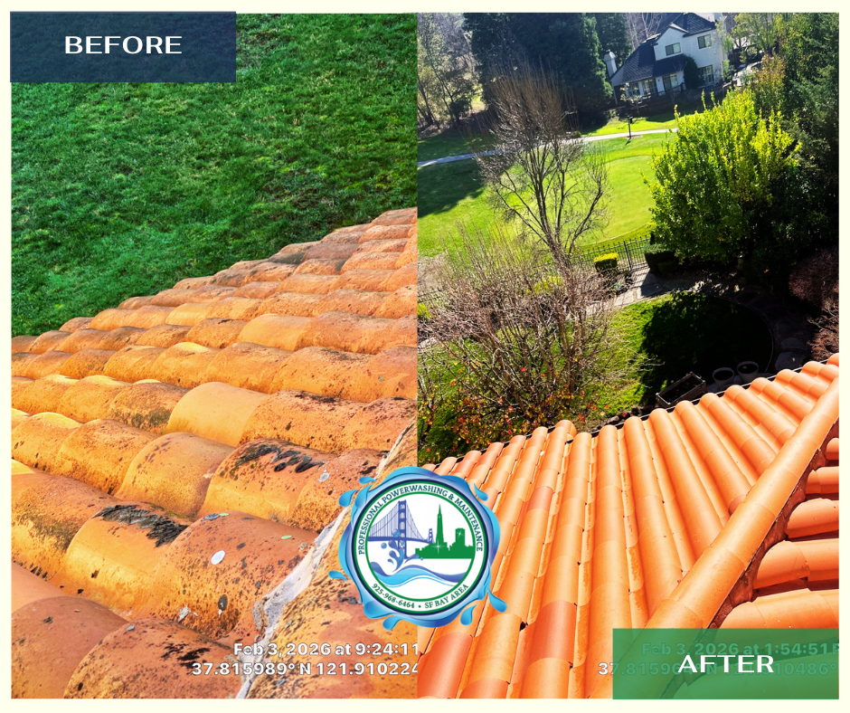 Roof cleaning Alamo CA