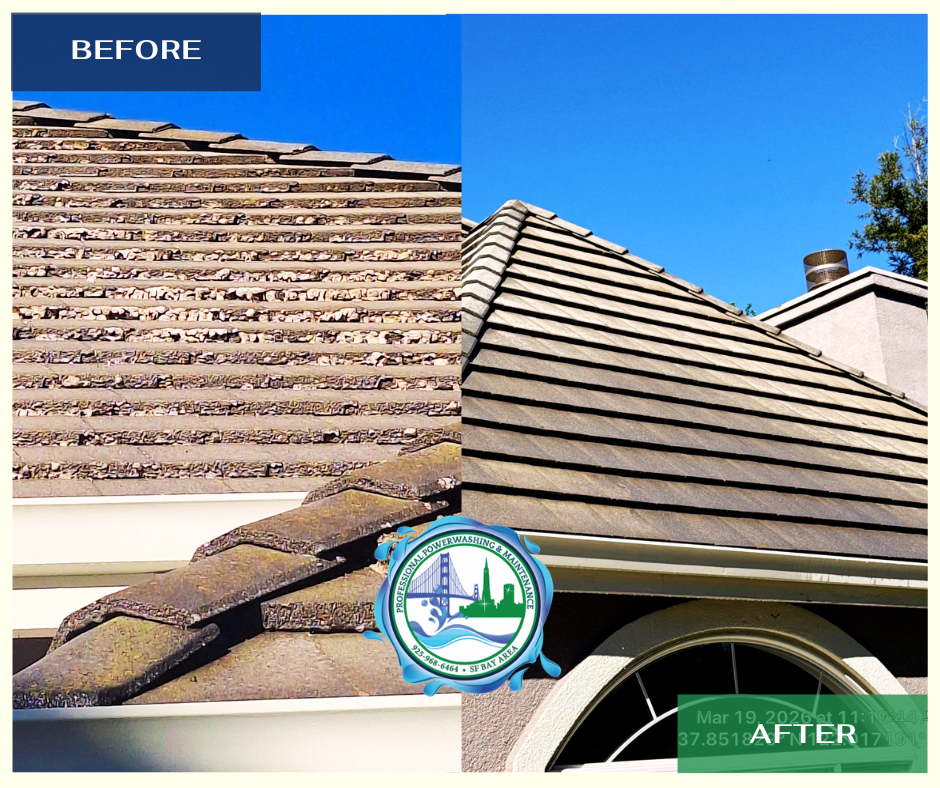 Clean roof Walnut Creek