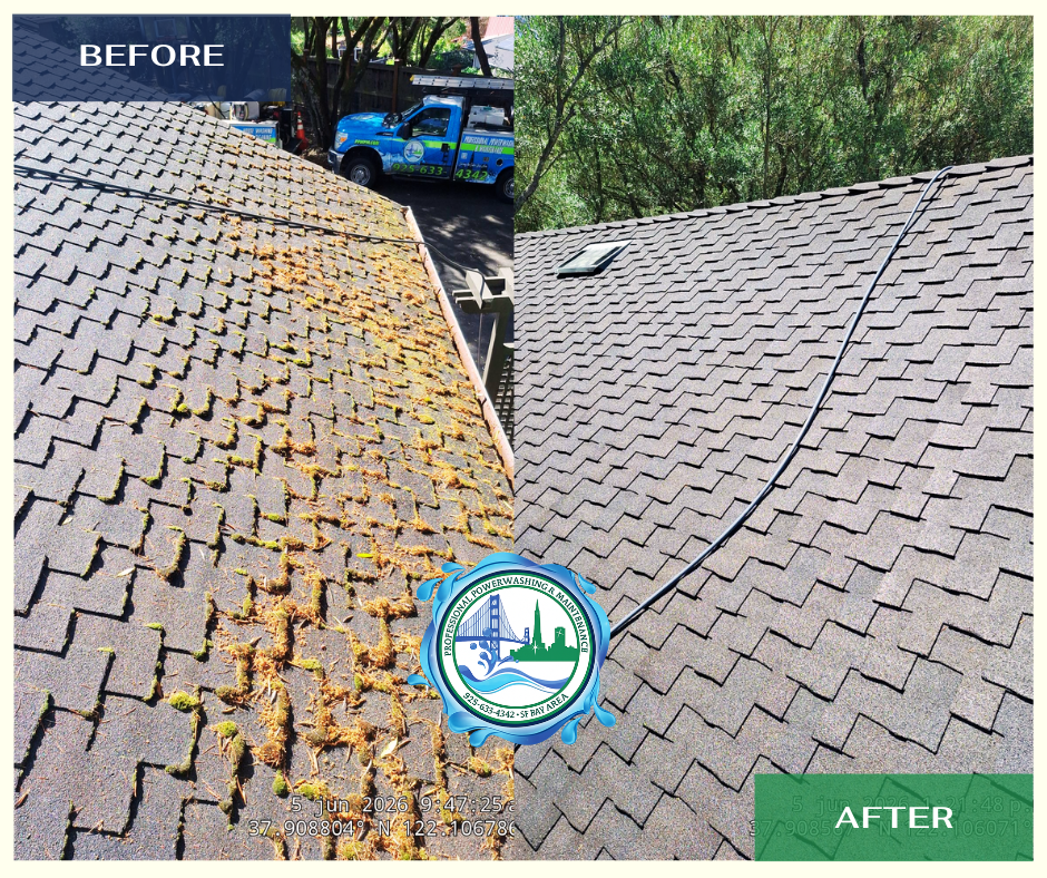 Before and after exterior cleaning