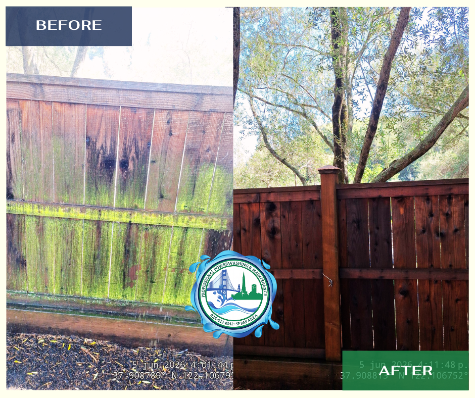 Before and after exterior cleaning