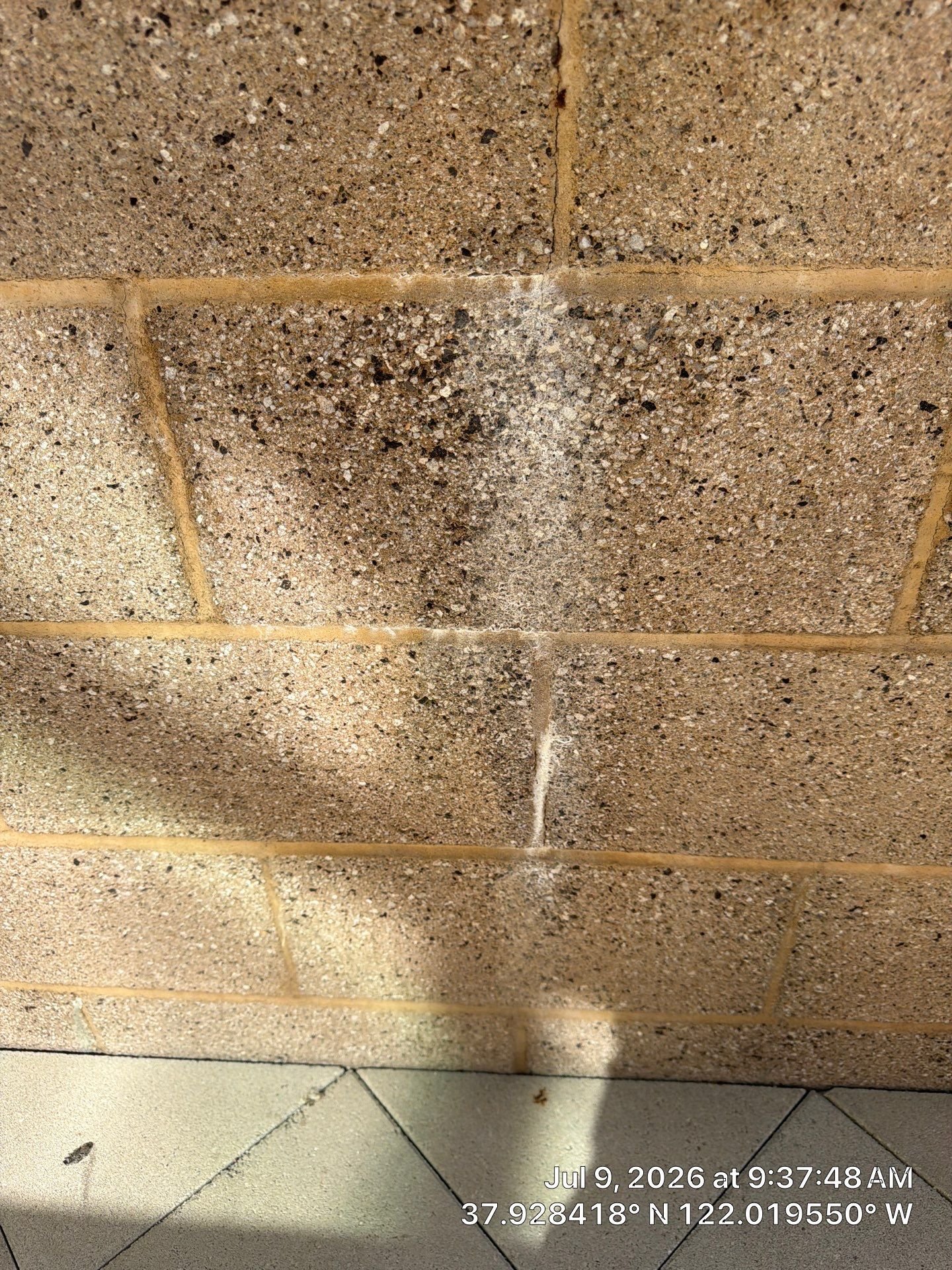 Calcium Deposit Removal in Walnut Creek, CA: How We Remove Hard Water Buildup From Exterior Walls