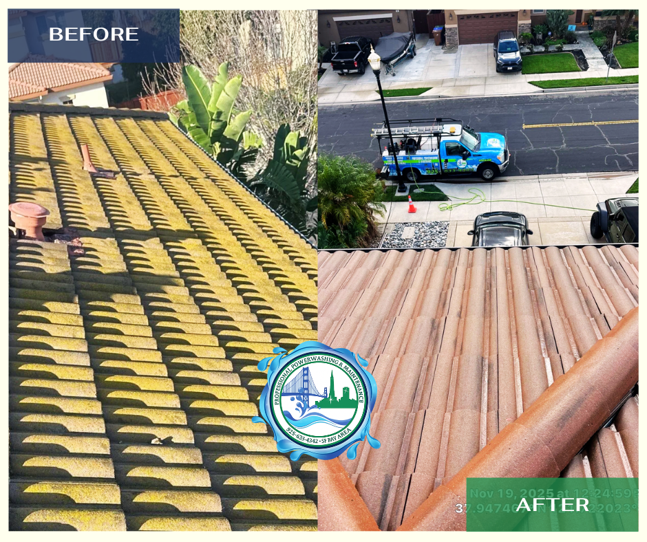 Before and after exterior cleaning