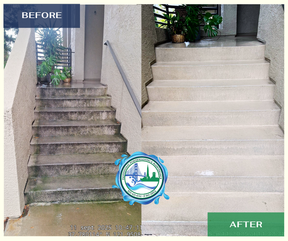 Before and after exterior cleaning