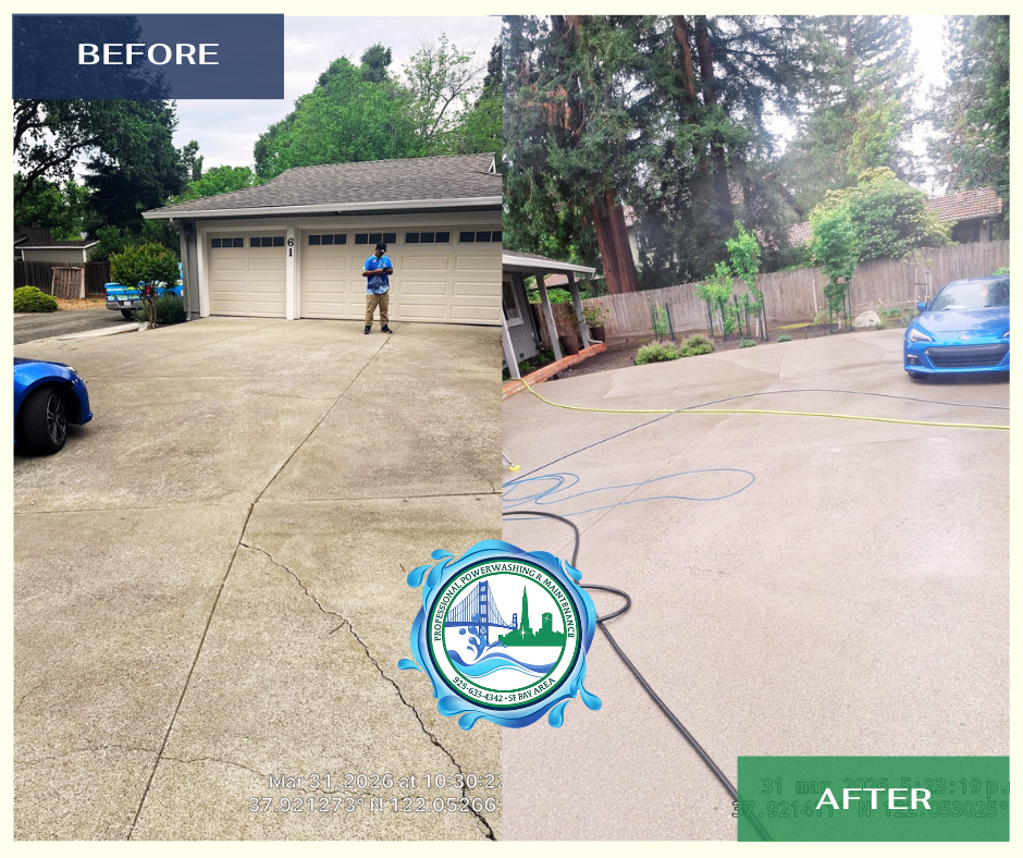 Before and after exterior cleaning