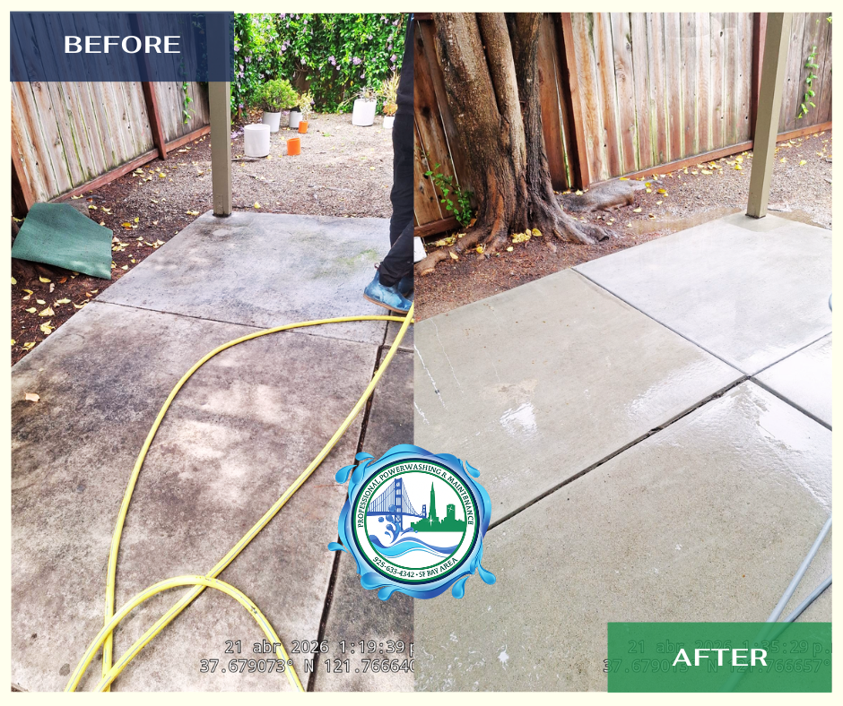 Before and after exterior cleaning