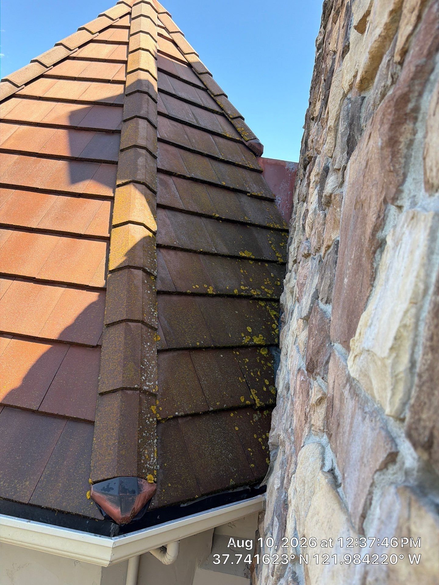 Roof soft washing in progress on a Pleasant Hill home
