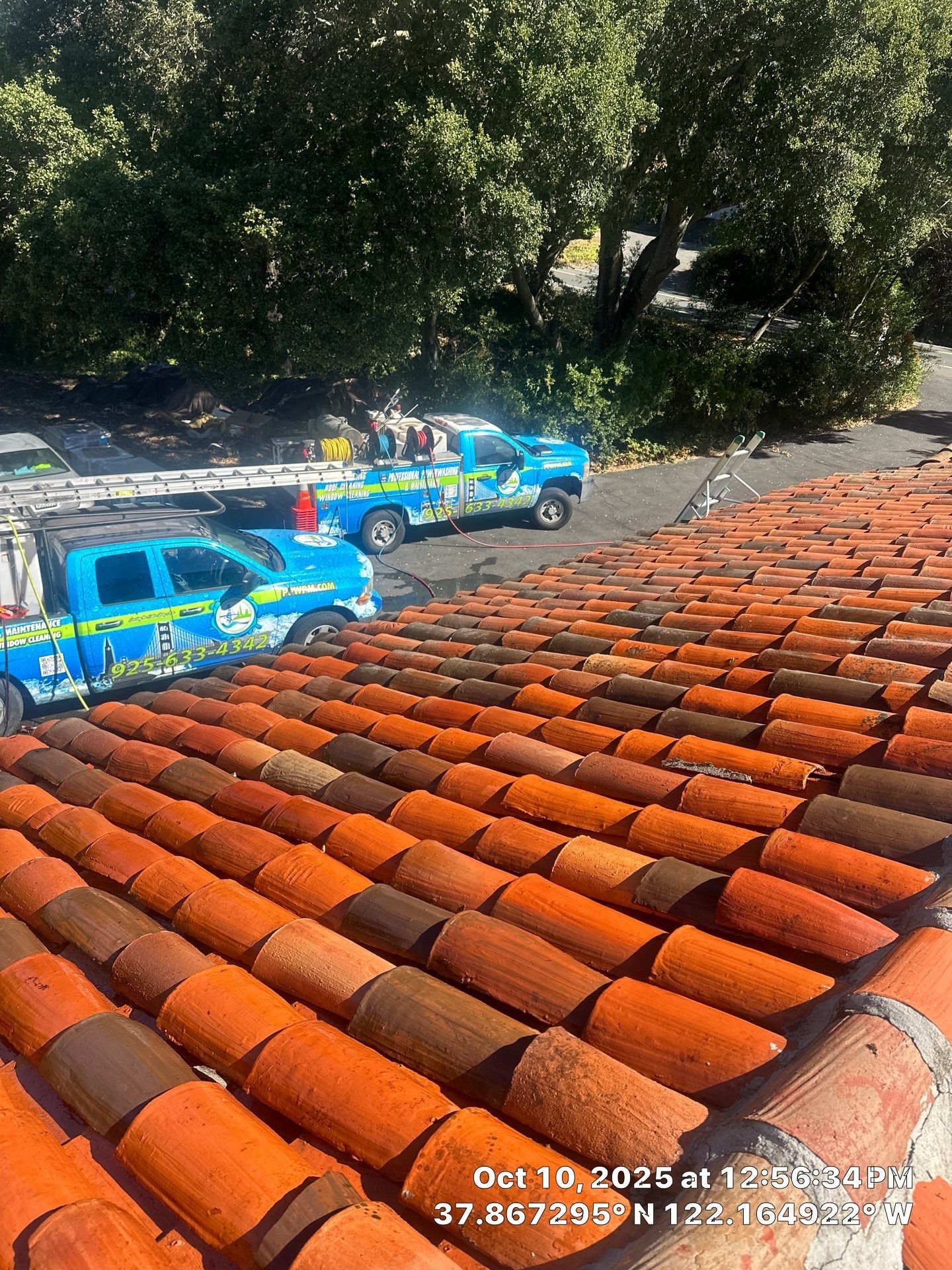 Black streaks and algae on a Pleasant Hill roof before cleaning
