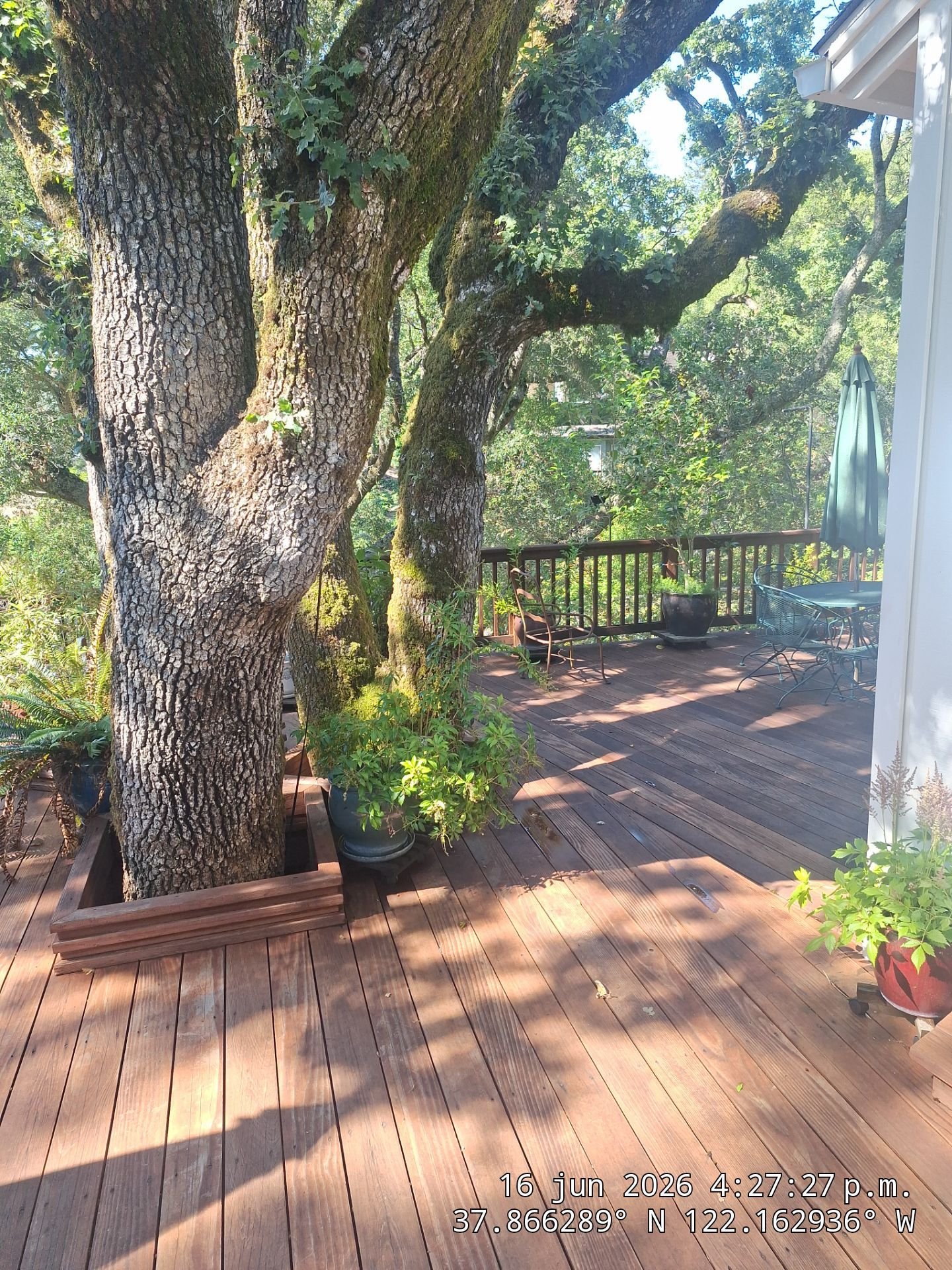 Exterior house washing in Orinda, CA