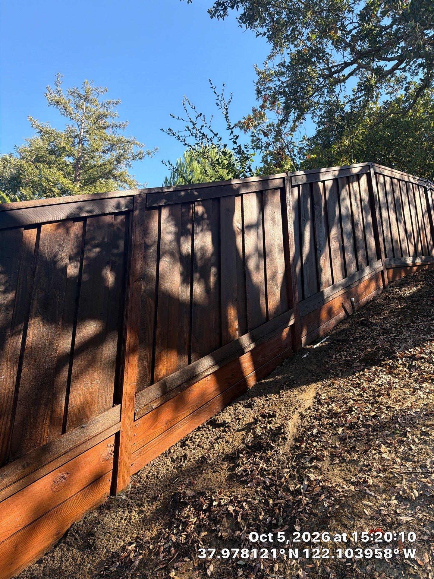 Redwood fence restored to its natural color after cleaning and staining
