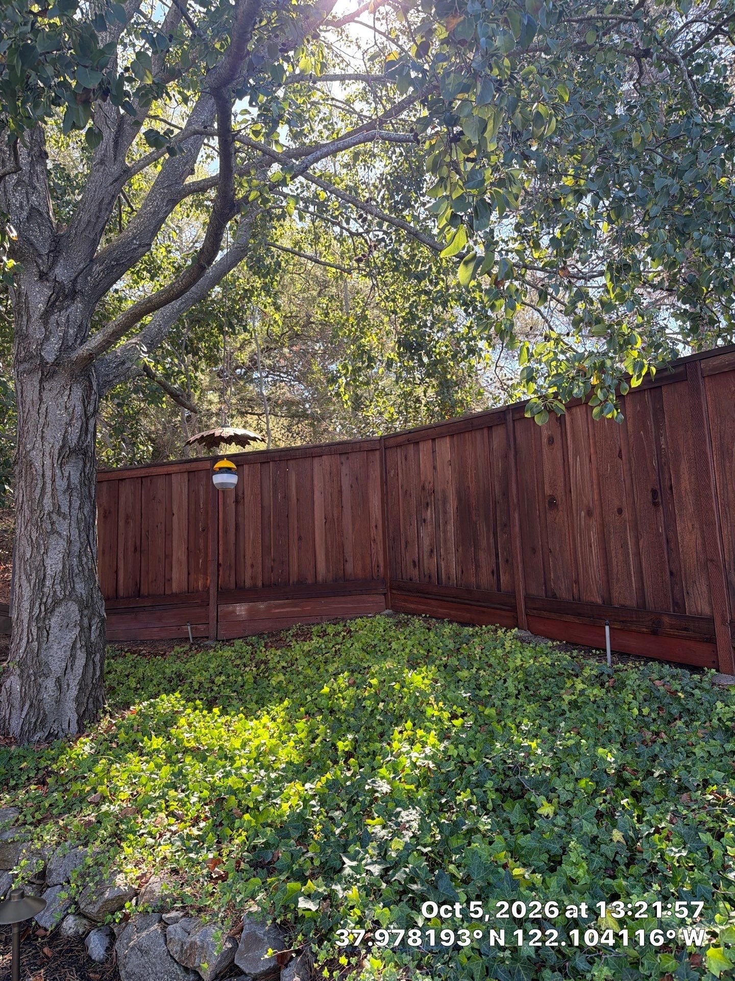 Low-pressure fence cleaning in progress on a Bay Area redwood fence