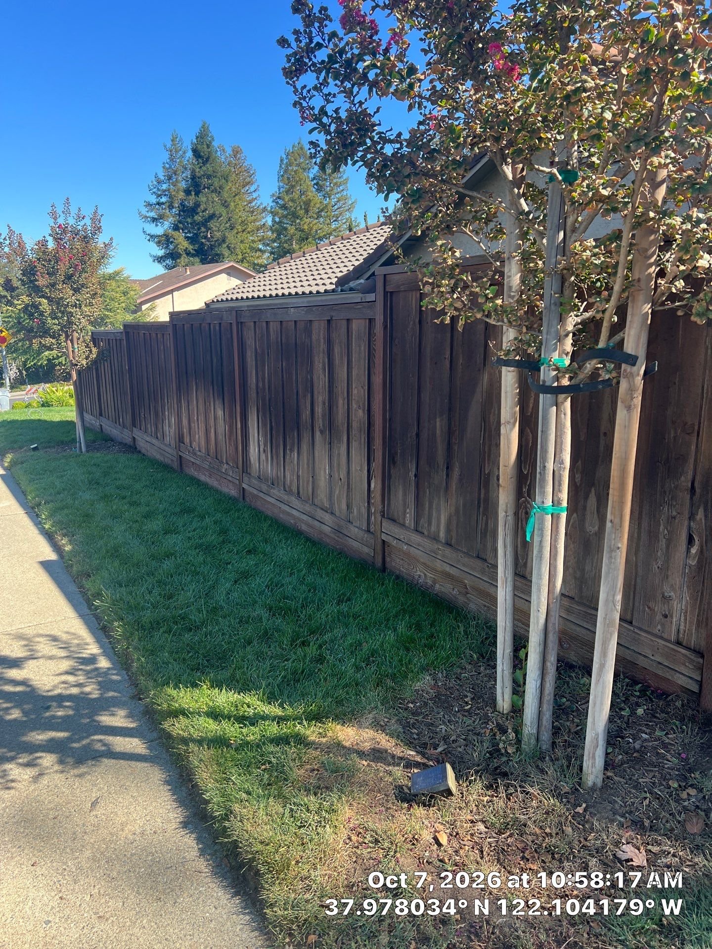 Sun-faded redwood fence boards typical of East Bay weathering